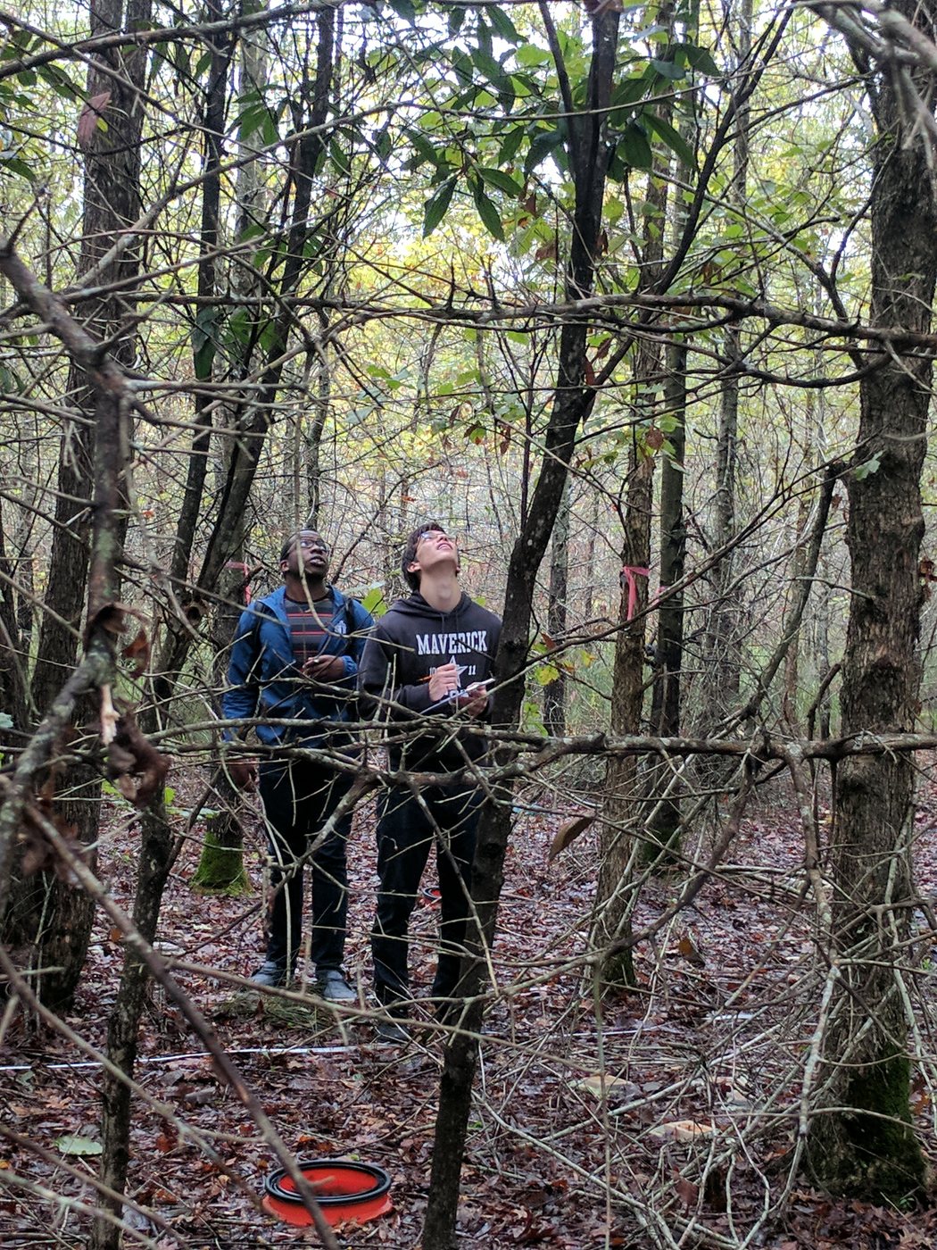 Timberlake coastal wetland research site, North Carolina